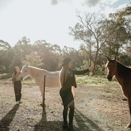Hunter Valley Retreat Quorrobolong Esterno foto