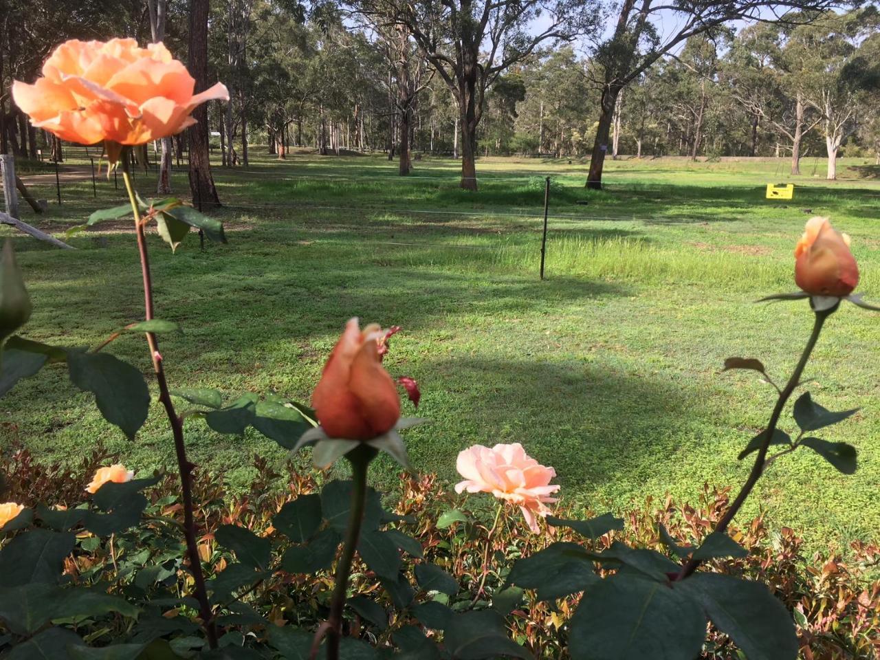 Hunter Valley Retreat Quorrobolong Esterno foto